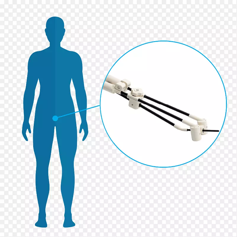 ǰ���ٽ��������ơ����Ʒ������ơ�Ƥ����-����-������