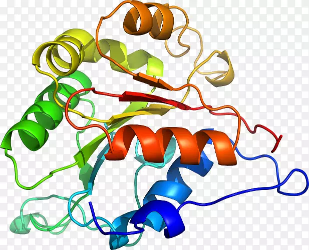 ���������л����߼�������-������