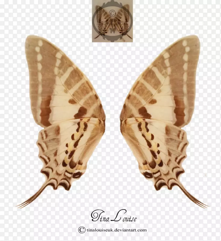 �ҲϺ����Ͷ�-��Ů���-������