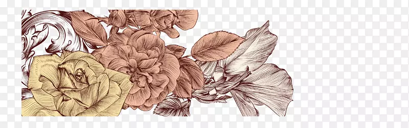 �滭��Ӱ.����Ԫ��-������