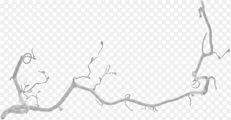 ϸ֦��Ӱ����-��֦-������