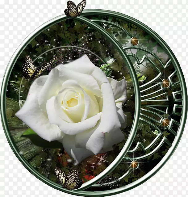 ������ƻ����л�-����֮ҹ-������