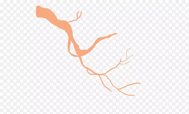 ��ָ�����ֽ�����߼���������-������