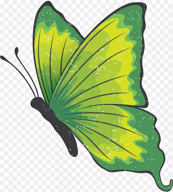 ��������ˢ��������������-������