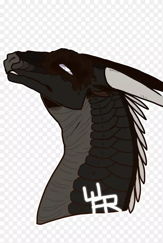 �����ĳ������-��-������