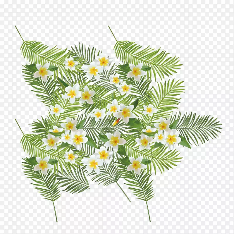 ��-�ѻ�-������