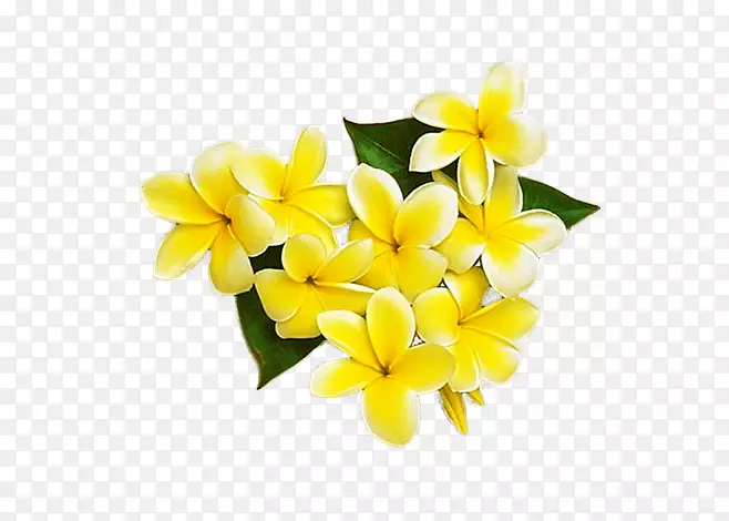 �ƻ��л�-������