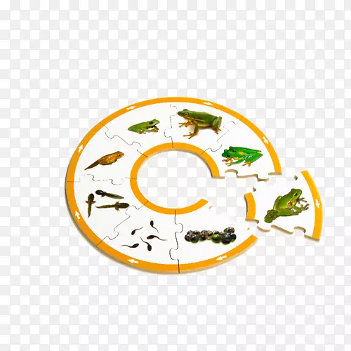 �߲;�������-������