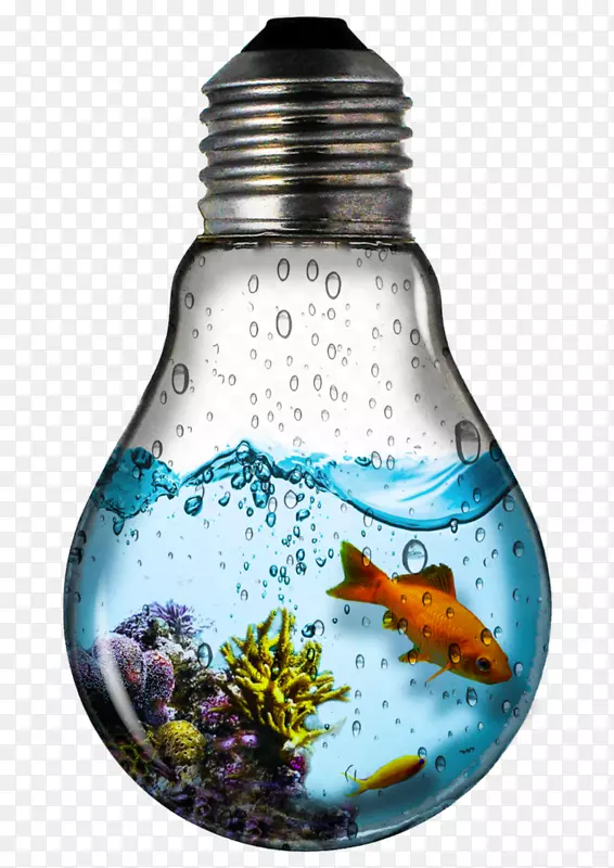 �׳���ݵ�ư�������˿��ʥ��װ��Ʒ��-������