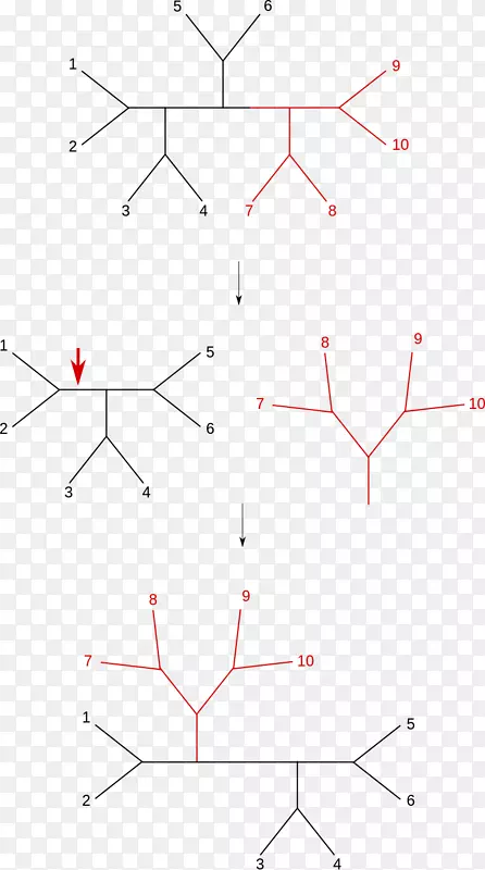 �ߵ�����-������