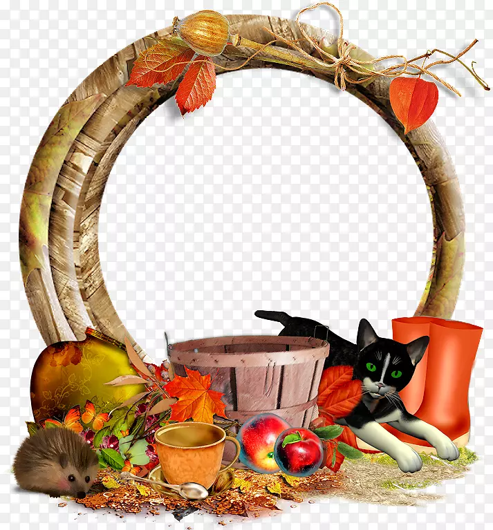 Adobeϵͳ����-����֮��-������