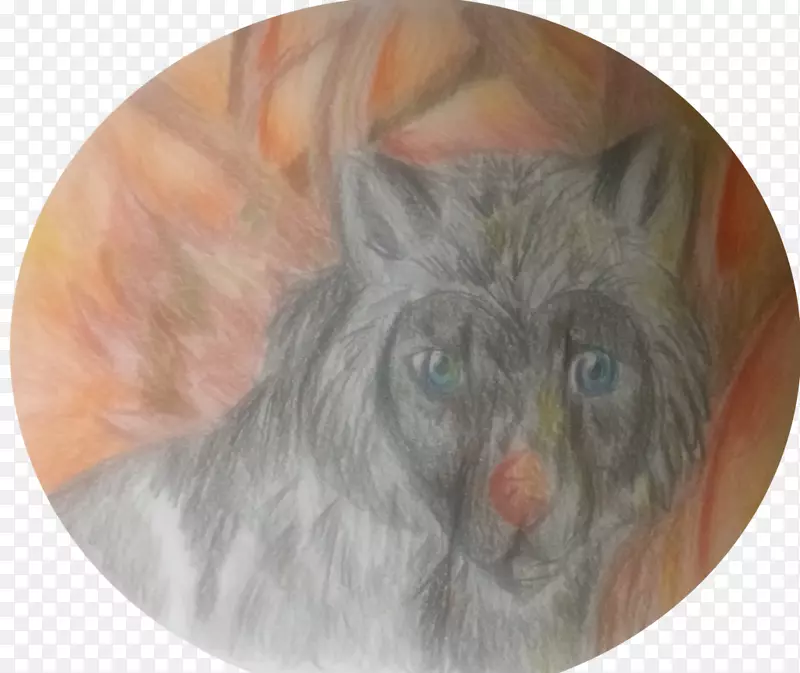 ����è������ëƤè-������