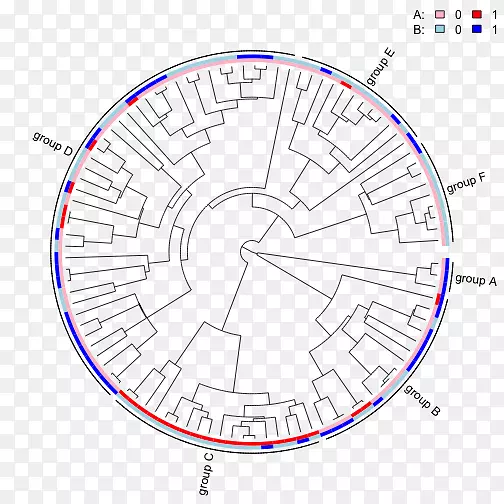 ֱ�ߵ����-������