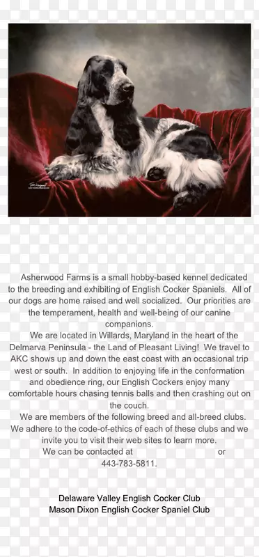 �������������Ȳ���Ȯ���ֲ�-������