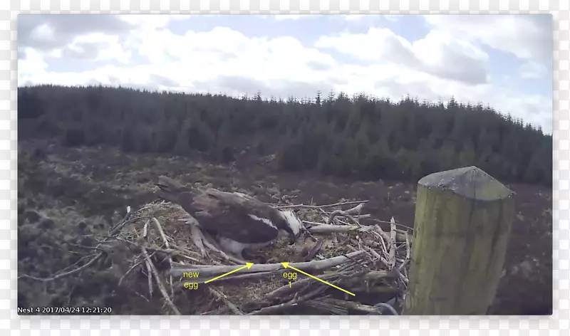 ��̬������ѧɽ������-��-������