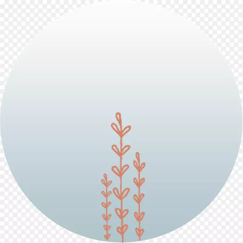 ����-������