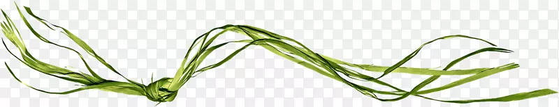 Ҷ���߽�����.Ҷ-������