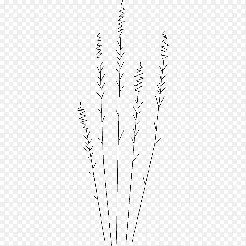 ��ϵ������Ʒֲ�ﾥϵ-������