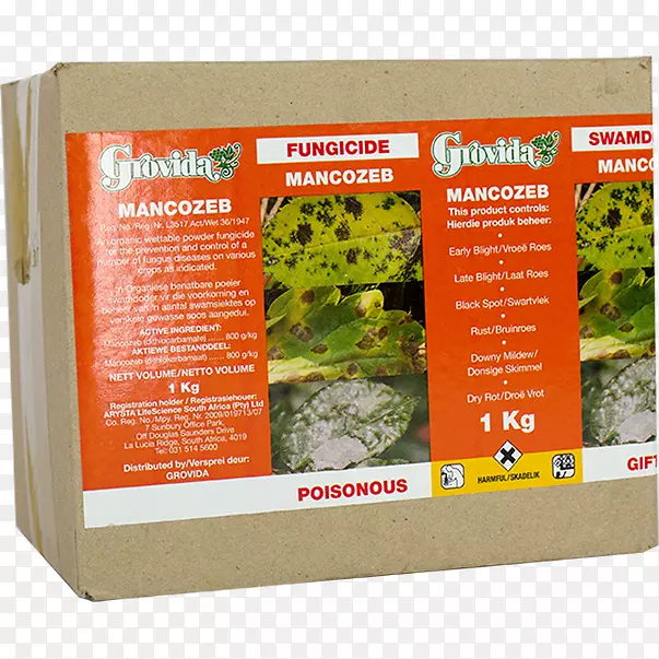 ��ζ��-������