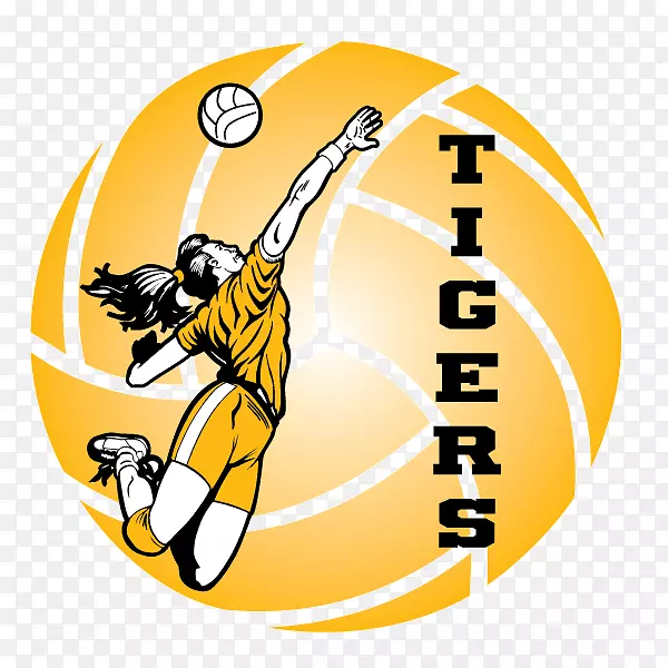 ���������ֽ��������-������