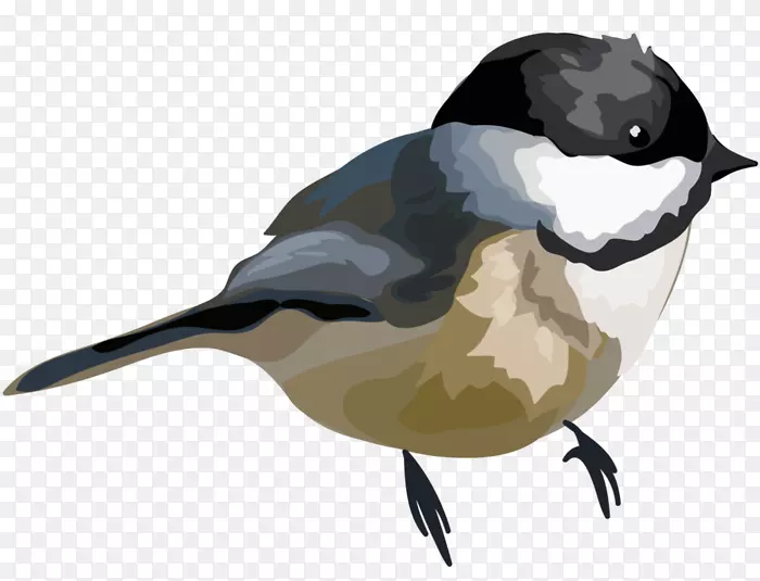 ����ˮ�ʻ�������.��-������