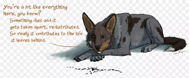 ���Ʊ��ӿ�ͨҰ�����ﹷ-������