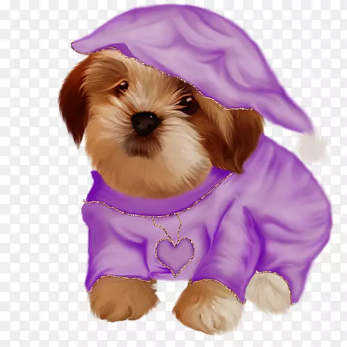 ����������������С��-������