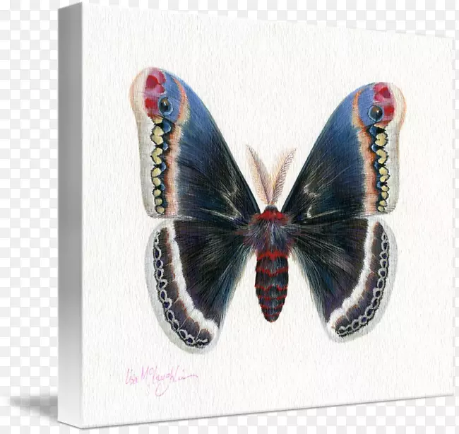 ����ͼ-������