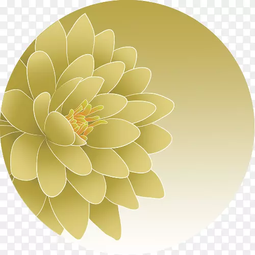 ��������ƻ��껨�����-������