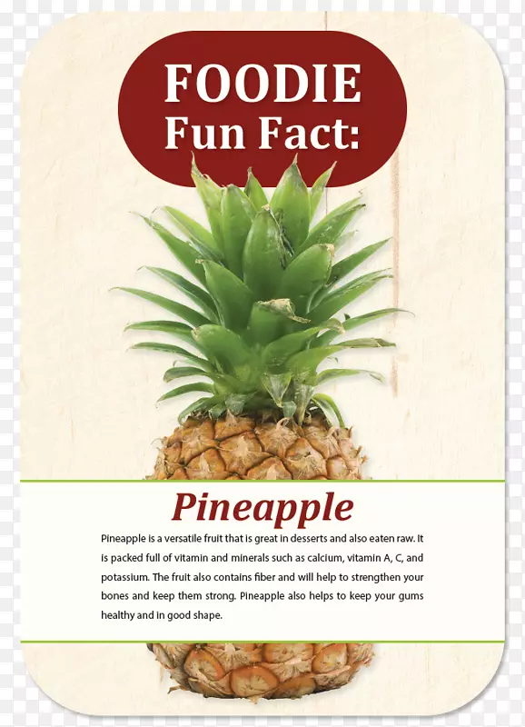 ���ܹ�֭-����-������