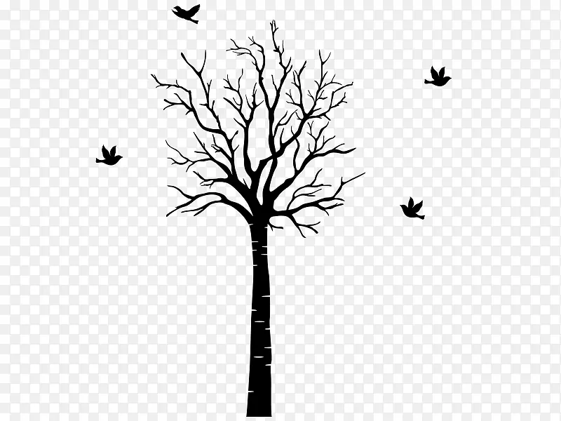 С֦����ֲ�ﾥҶ-Ҷ-������