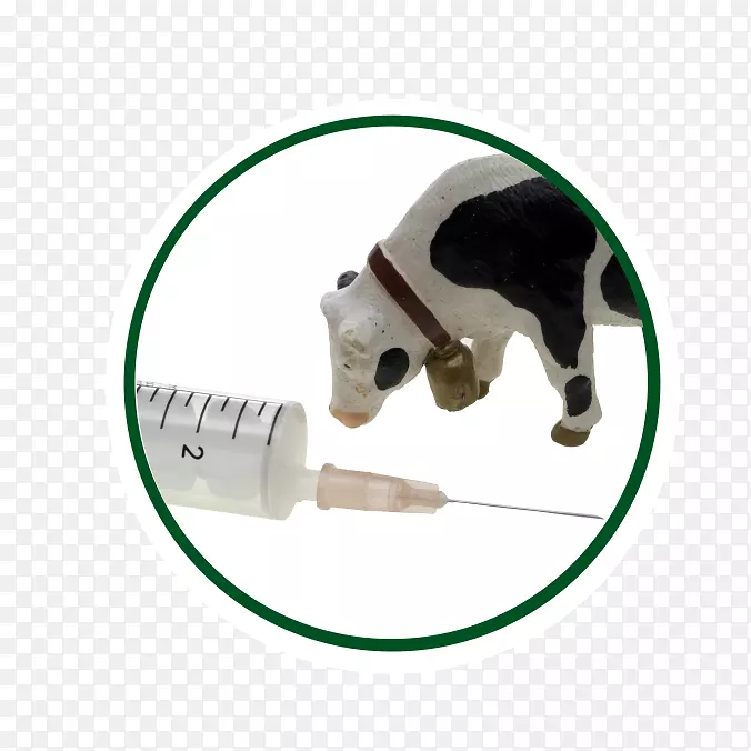 ���Ӳ�Ʒ-�������ӹ�˾-������