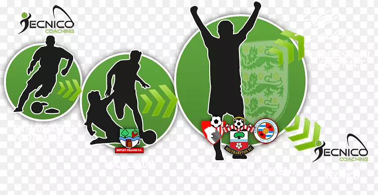 ��־Ʒ����ɫ�������-������