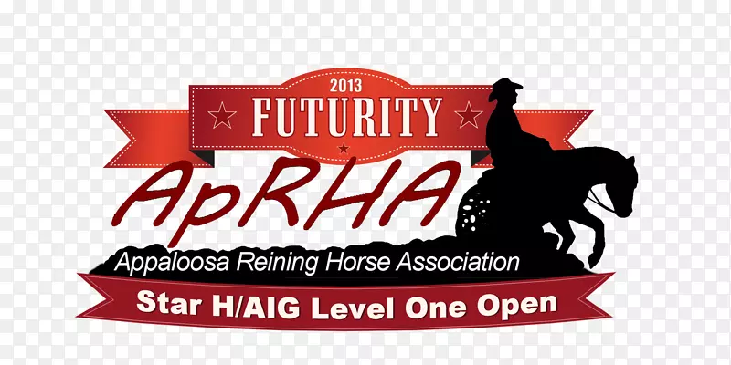 ��־����-aig��־-������