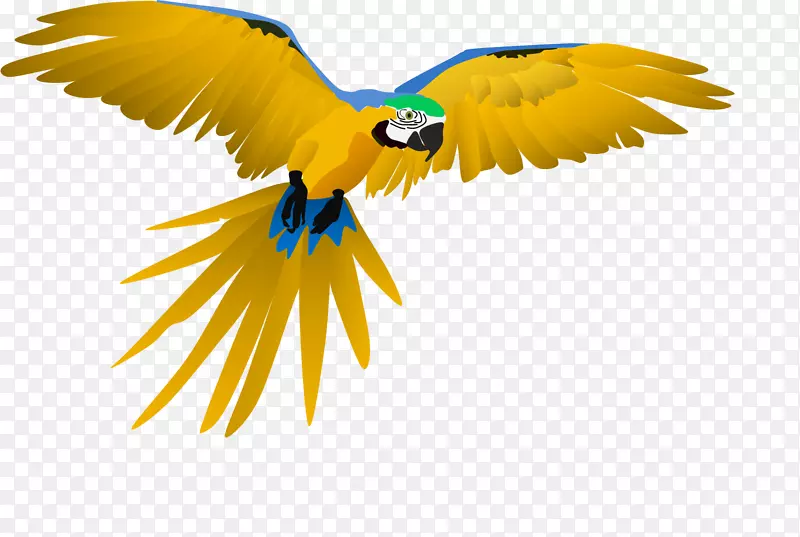 ������ģ�๣���ë���������-������