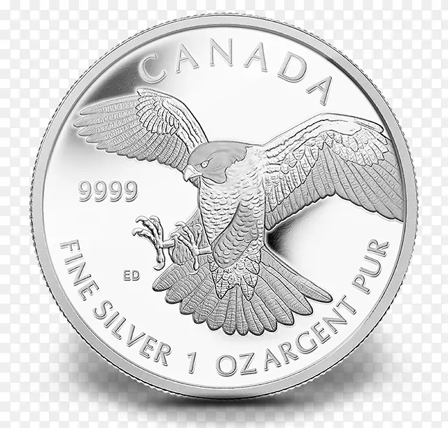 ������������-������