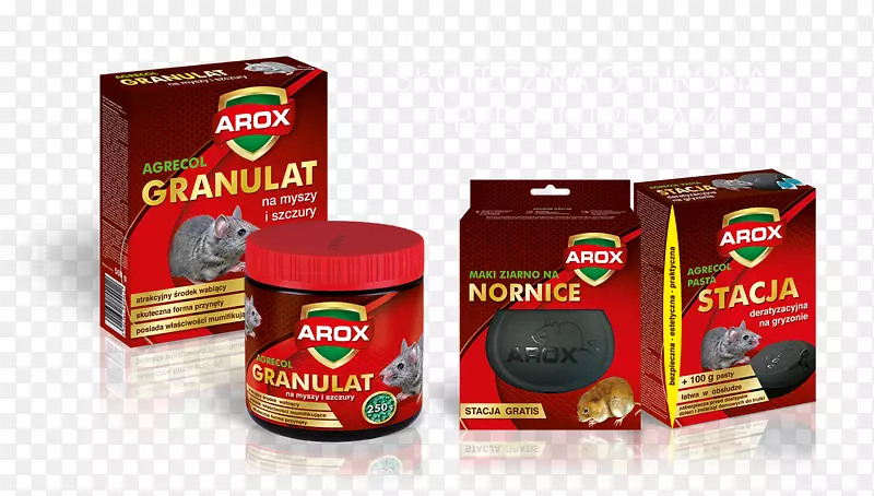 ������������-����-������