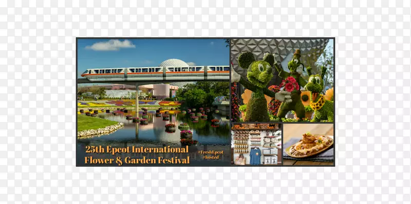 ���ÿ��ع��ʻ�԰�ڻ��ص�ʿ�ṫ˾���ζȼٴ�-�������-������