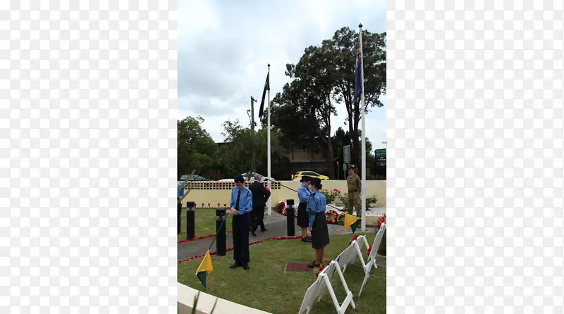 ��ľ������Դ��ֲ����-��ľ-������