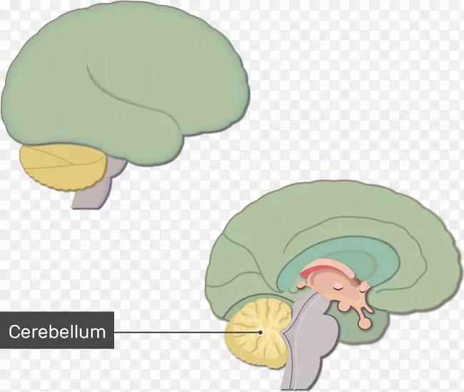 �Ը���ϵͳ-�Թ���-������