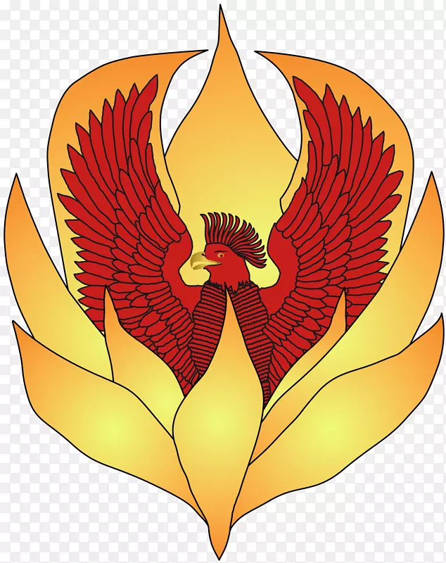 ���꿪��ֲ��Ҷ������-������