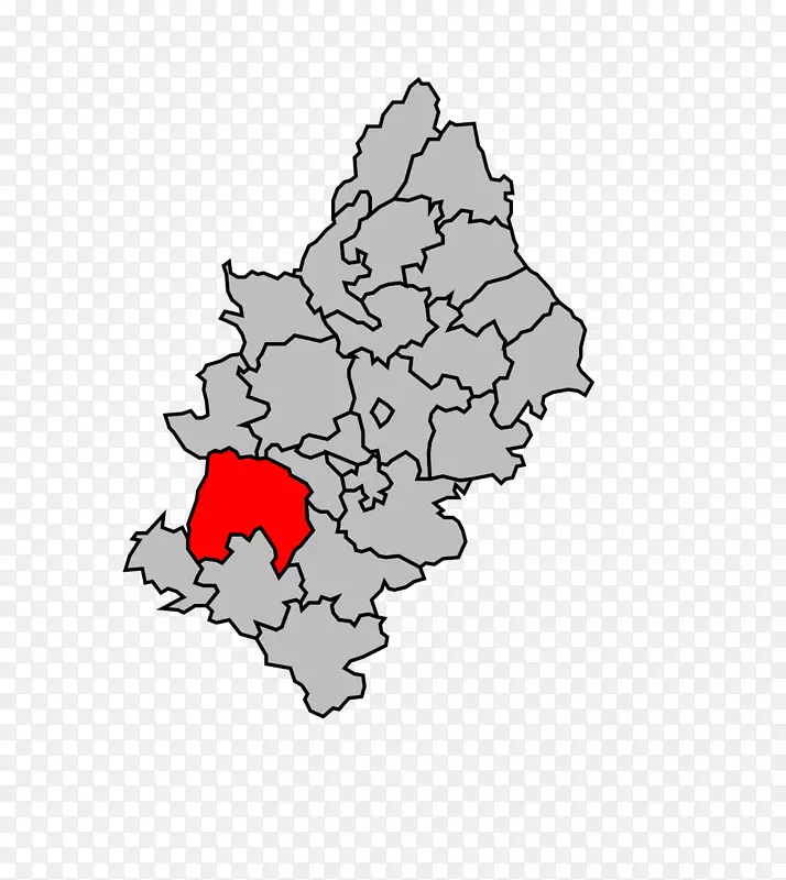 ���꿪��ֲ��Ҷ������-������