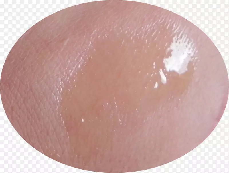 Ƥ�ݶ�-������