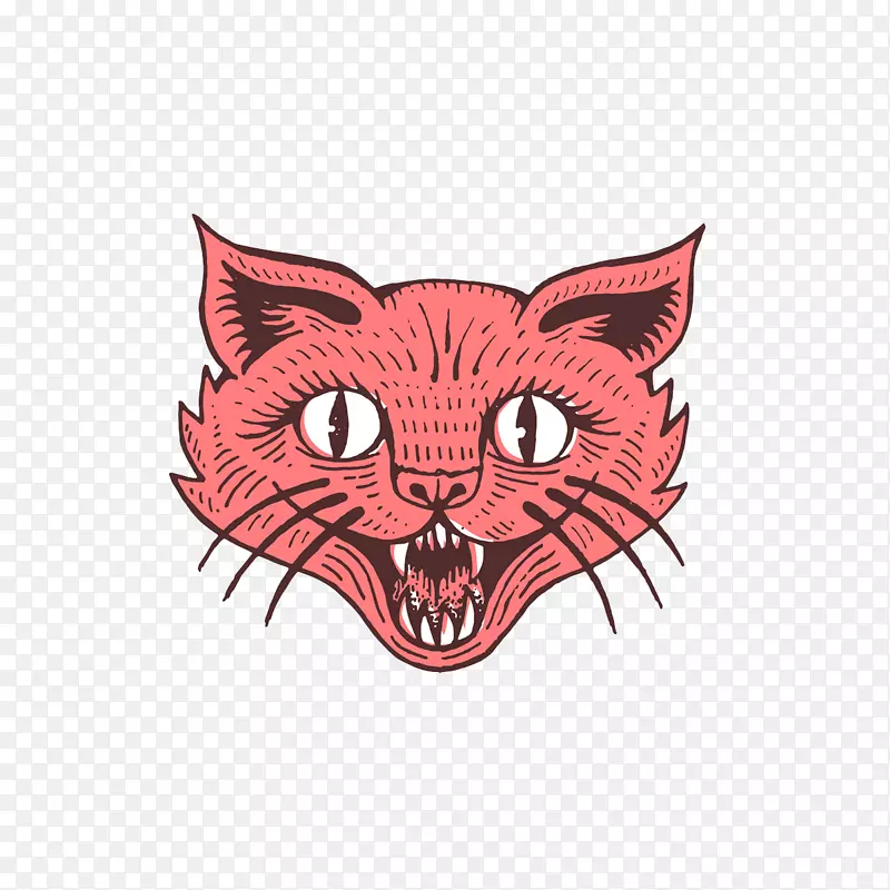 ����è��ͨ-�쿨ͨè-������