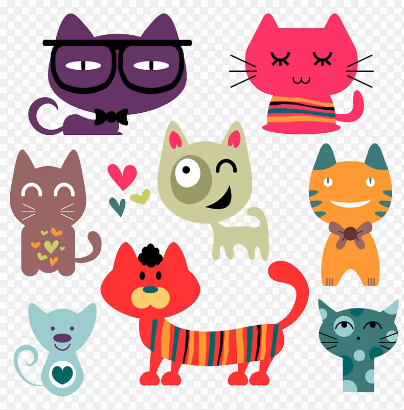 ʦ����������ѧѧ����ͨè��-������