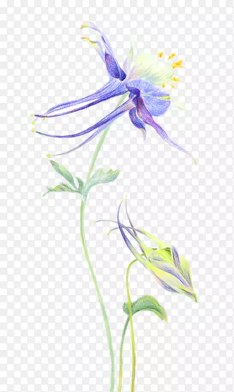 ��������-������