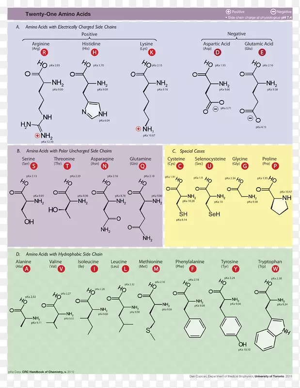 �������԰����������-����-������