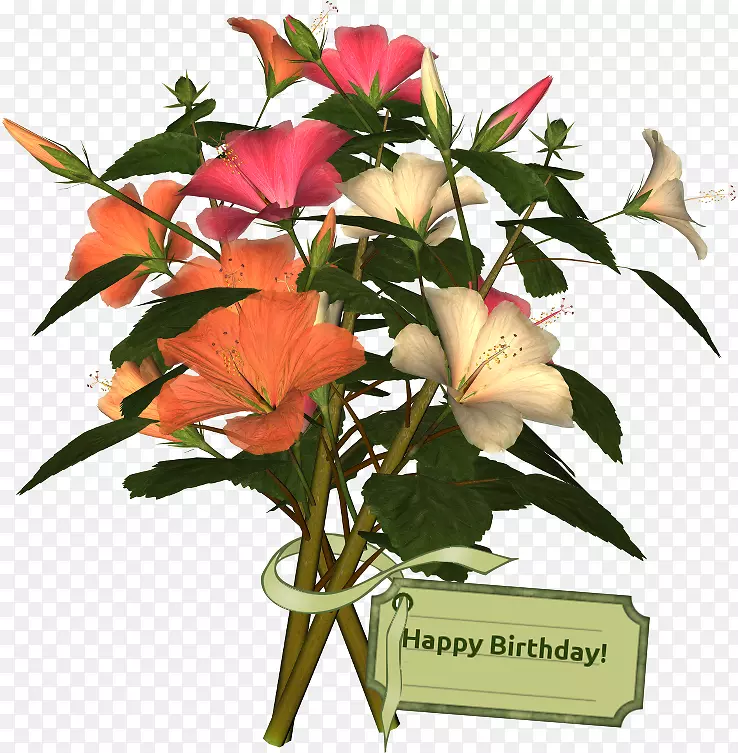 ��������л���������-��-������