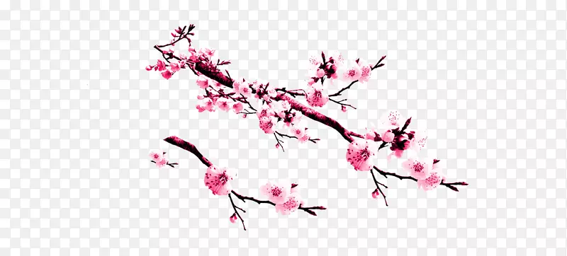 �Һ�ӣ��-÷��-������