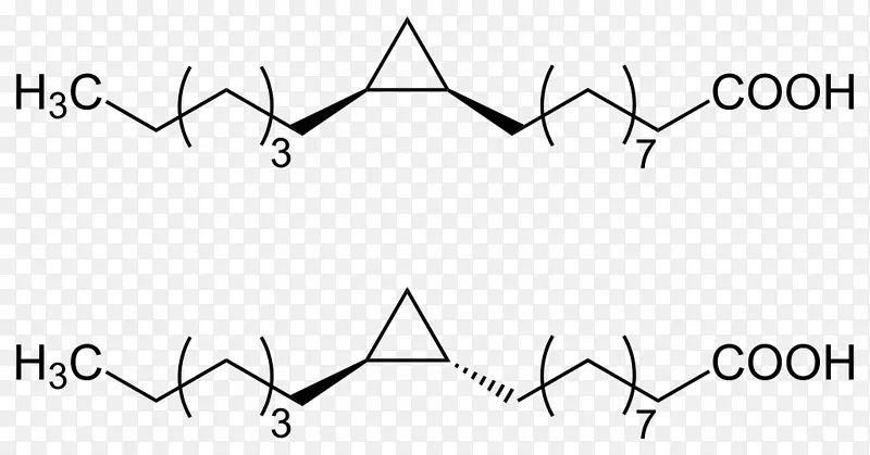 ��������֧��������������ữ��������-������